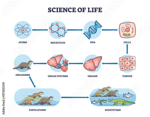 Life science hierarchy illustrates atoms-to-ecosystems, highlighting DNA, cells, and organs as key stages with arrows linking biological levels. Outline diagram