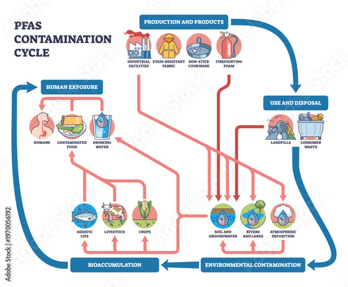 PFAS contamination cycle shows how products and waste pollute soil, rivers and groundwater, bioaccumulating to humans via drinking water and food, objects, factory, landfill, arrows. Outline diagram