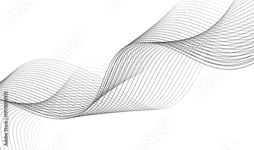 Abstract Black and White Flowing Wave Lines, Elegant Smooth Curved Striped Pattern, Minimalist Modern Vector Background 