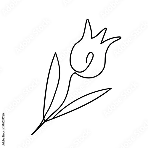 Floral silhouette art line. Flowers roses in continuous line drawing style. Border with tropical flower. Minimalist black linear sketch. Trendy vector illustration isolated. Contour frame for design.