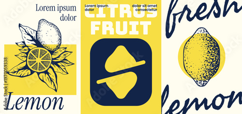 Vintage Botanical Lemon Poster Collection Featuring Hand Drawn Citrus Fruit Illustrations with Elegant Typography.