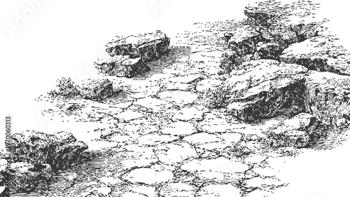 Cracked dry ground with scattered large rocks and sparse vegetation in barren landscape illustration