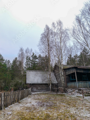 Traditional wooden log buildings stand behind weathered picket fence surrounded by tall slender birch trees and evergreen forest under gloomy overcast winter sky with light snow covering ground.