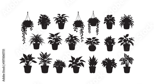 A collection of potted plants in black silhouette on a white background isolated on transparent background