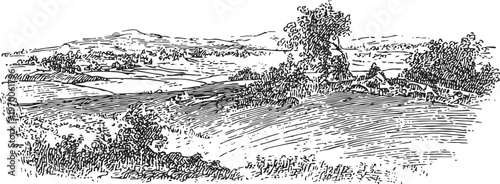 Hand drawn countryside landscape with rolling hills, trees, and detailed foliage sketch