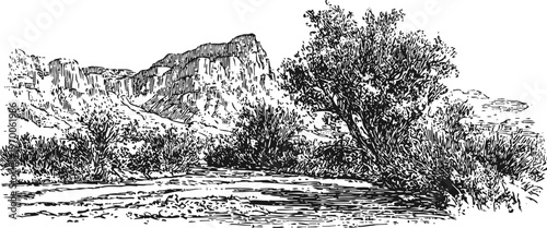 Desert landscape with rocky cliffs and sparse trees detailed black and white ink illustration