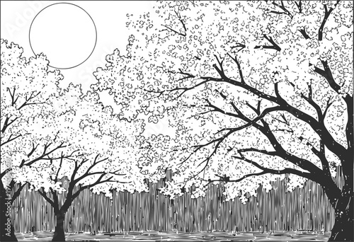 black and white spring landscape with blooming cherry trees and full moon in the sky
