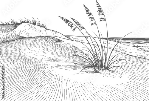 Sand dune landscape with beach grass near ocean shore, coastal nature illustration