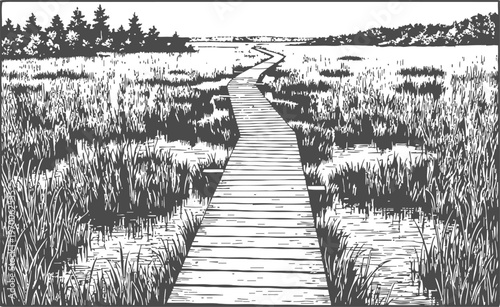 Wooden boardwalk pathway winding through grassy marshland toward distant forest horizon