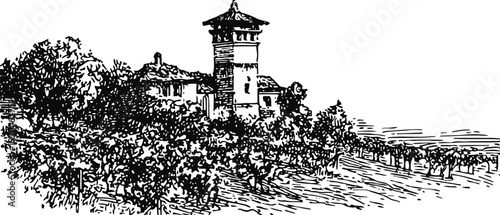 Vintage vineyard landscape with traditional farmhouse and tower in countryside illustration