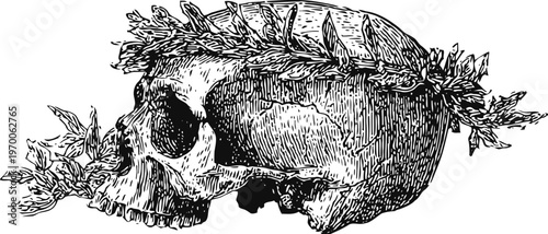 Detailed vintage illustration of human skull crowned with laurel wreath, ancient symbol of victory and honor