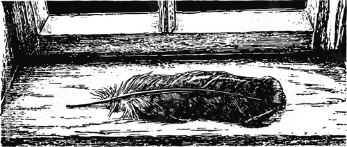 black feather resting on wooden windowsill with sunlight shading and rustic texture