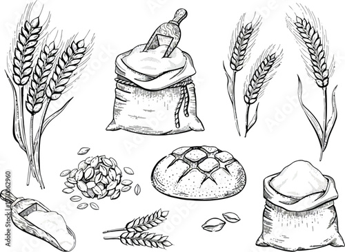 Sketch of wheat stalks a bag of grain bread and milling tools