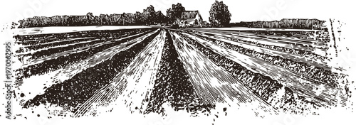 black and white engraving of expansive farmland with furrowed soil rows and distant trees