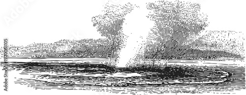 Geyser erupting in natural landscape with water and steam explosion