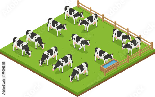 Dairy cows grazing in green pasture isometric view