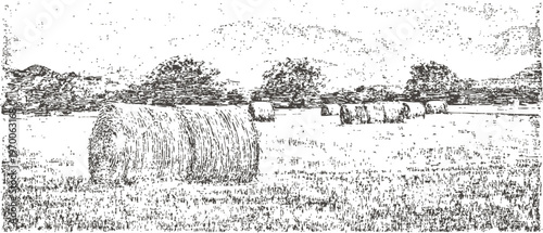 Harvest field with round hay bales scattered under cloudy sky in rural countryside landscape