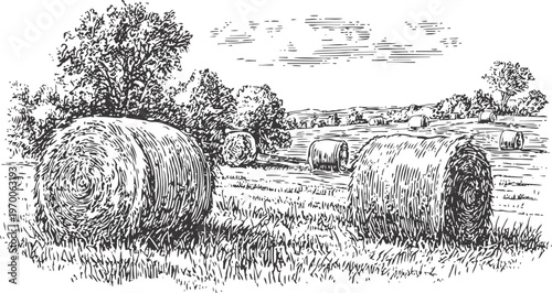 Rural landscape with hay bales in field countryside farming and agricultural scene with rolled straw stacks and trees