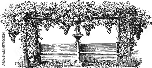 vintage grape arbor with wooden bench and fountain garden outdoor seating under vine canopy
