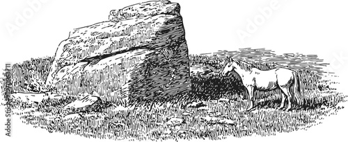 white horse standing near large rock in grassy field with shrubbery background