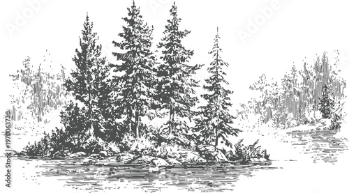 Island with pine trees surrounded by water hand drawn monochrome nature landscape illustration