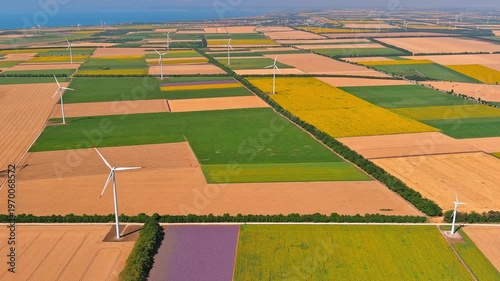 Aerial view of agricultural fields with lavender, wheat, sunflowers in Bulgaria