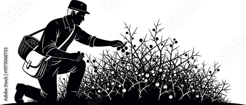 Silhouette of a man spraying herbicide or pesticide on plants