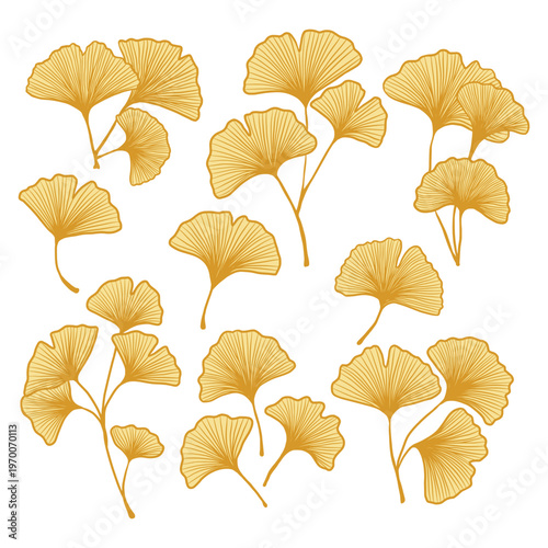 Ginkgo Biloba Leaves Illustration Set, Yellow Botanical Ginkgo Leaf Vector Collection