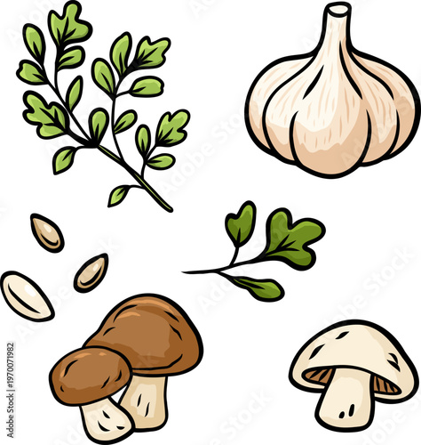 Collection of herbs garlic mushrooms seeds and leaves arranged as botanical set on white background perfect for cooking blogs, recipe cards
