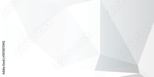 Abstract geometric background with polygonal shapes in white and gray tones clean minimalist design for modern presentations and digital art vector illustration