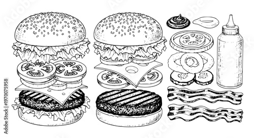 llustration reveals the anatomy of a classic burger, showcasing each ingredient individually for a detailed culinary exploration.