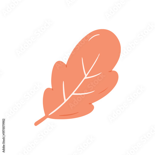 Orange Autumn Leaf Botanical Illustration