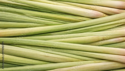 Vibrant lemongrass texture desktop wallpaper