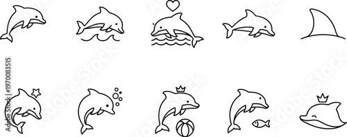 Line art dolphin illustrations a collection of marine mammal sketches