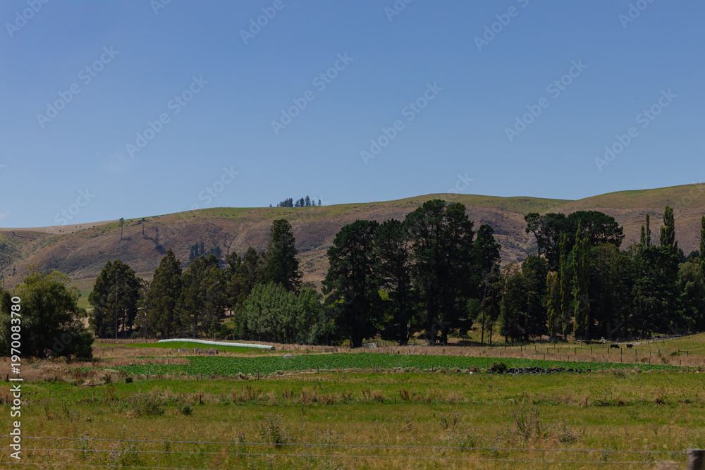 Fototapeta premium Verdant Green Field and Distant Hills Under a Clear Blue Sky Landscape