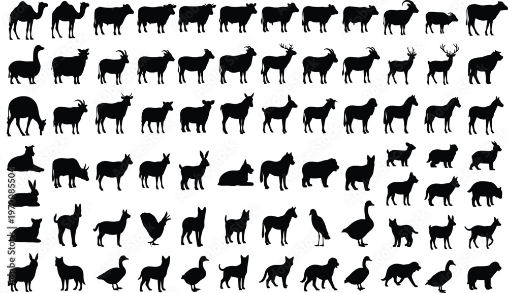 Naklejka premium Collection of diverse black animal silhouettes including camels, cows, goats, deer, birds, rabbits, dogs, and tortoise, vector illustration for wildlife, nature, and design projects