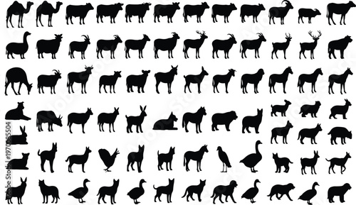 Collection of diverse black animal silhouettes including camels, cows, goats, deer, birds, rabbits, dogs, and tortoise, vector illustration for wildlife, nature, and design projects