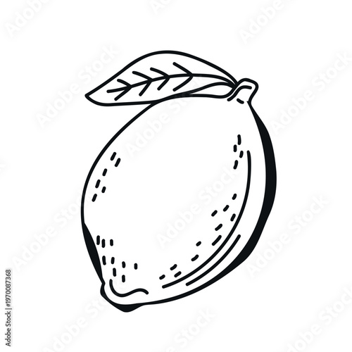 Hand-drawn illustration of a lemon with a green leaf, showcasing its textured surface and distinct shape against a white background