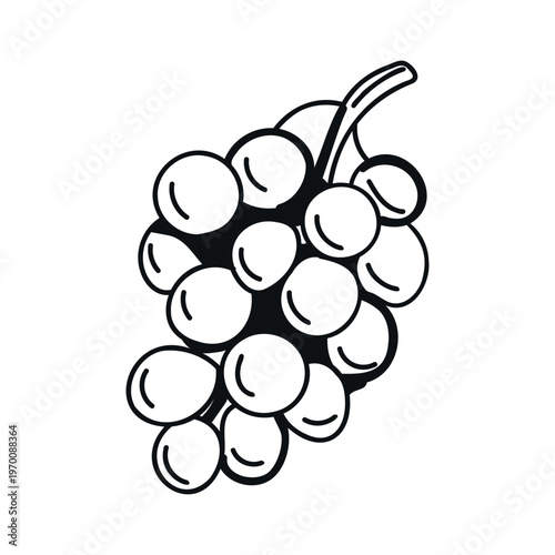 Black and white illustration of a bunch of grapes with round berries and a stem, showcasing the natural shape and arrangement of the fruit
