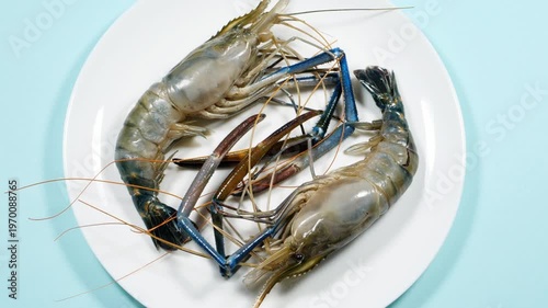 Giant River Prawns or Raw Shrimps on White Rotating Background. Luxury Seafood on a Plate