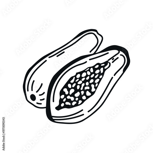 Papaya fruit illustration showing two halves with seeds visible, detailed line art style on a white background emphasizing the fruit's texture and shape