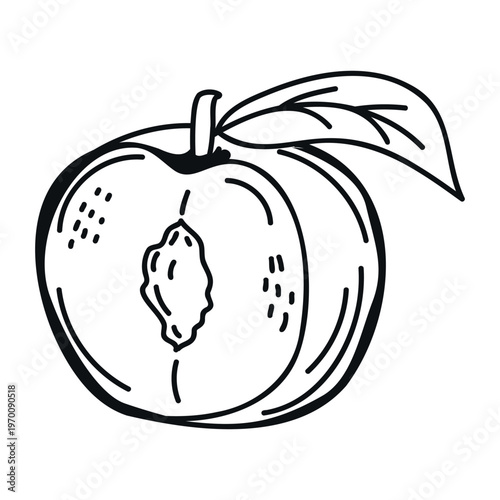 Hand-drawn illustration of a peach fruit with a green leaf, showcasing its round shape and textured skin, suitable for food-related designs or educational materials