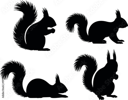 Squirrel silhouettes set in different poses isolated on white background, woodland animal vector illustration, minimal black wildlife design collection