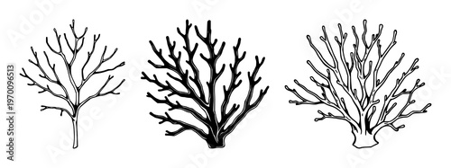 Sea fan coral set with black line art design featuring ocean organism, marine life, sea inhabitant with aquatic flora and underwater fauna