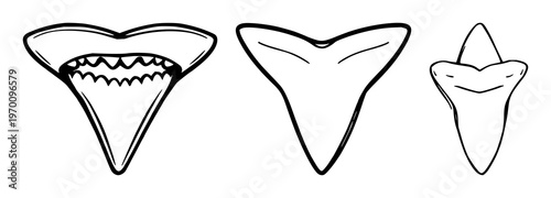 Shark tooth set with single black line art design featuring fossil, extinct, predator with paleontology and marine