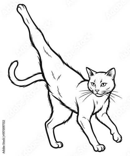 Yoga Stretching Cat Vector Illustrationv