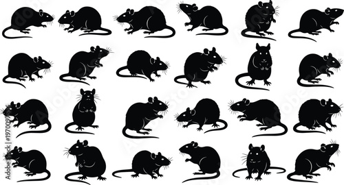 Rat Silhouette Icon Set Featuring Mouse Rodent Poses Running Sitting and Standing Black Shadow Collection for Pest Control and Wildlife Design