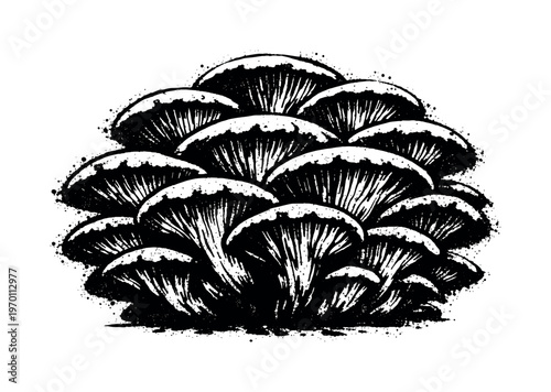 A dense cluster of oyster mushrooms with layered caps shown in a slightly low-angle view, enlarged to dominate the frame as a flowing organic mass on