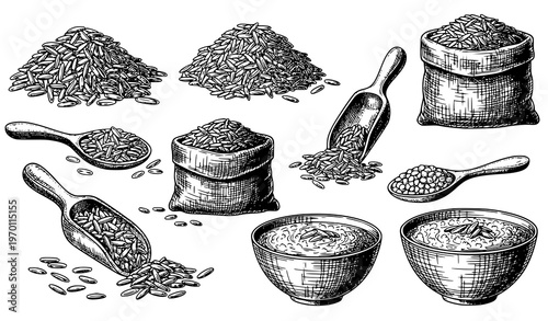 Vintage rice grain sketch vector set with basmati piles scoops bowls and hand drawn farm ingredient illustrations