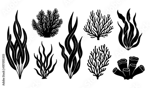 Aquarium seaweed silhouette vector set with underwater plants algae corals and marine decor icons